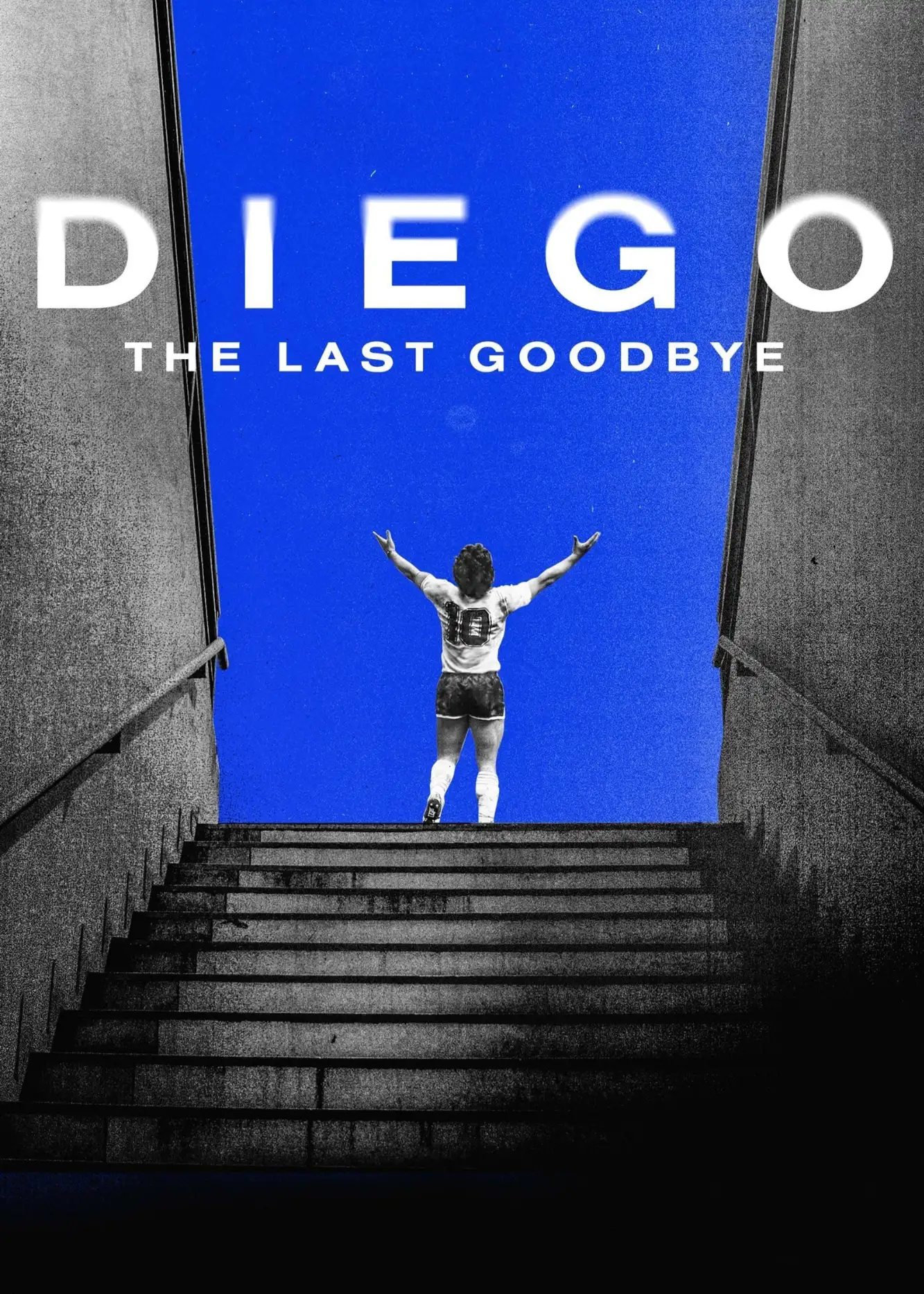 Diego: The Last Goodbye